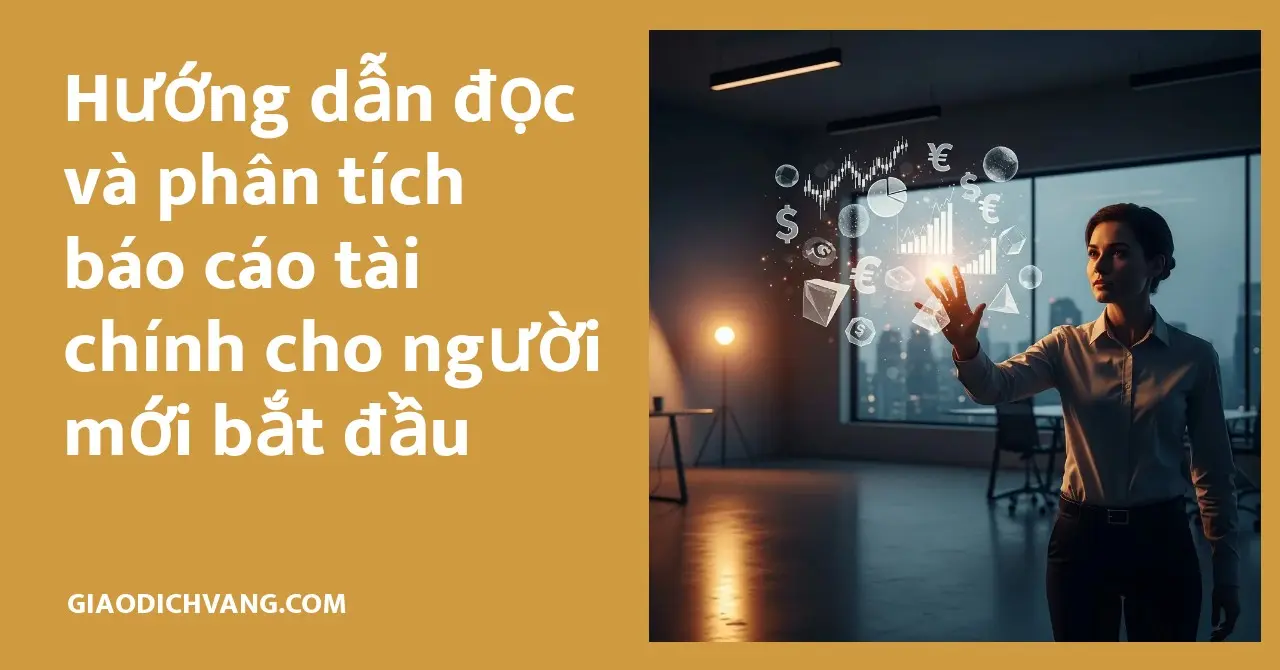 Hướng dẫn cơ bản giúp người mới bắt đầu hiểu rõ báo cáo tài chính và phân tích hiệu quả.
